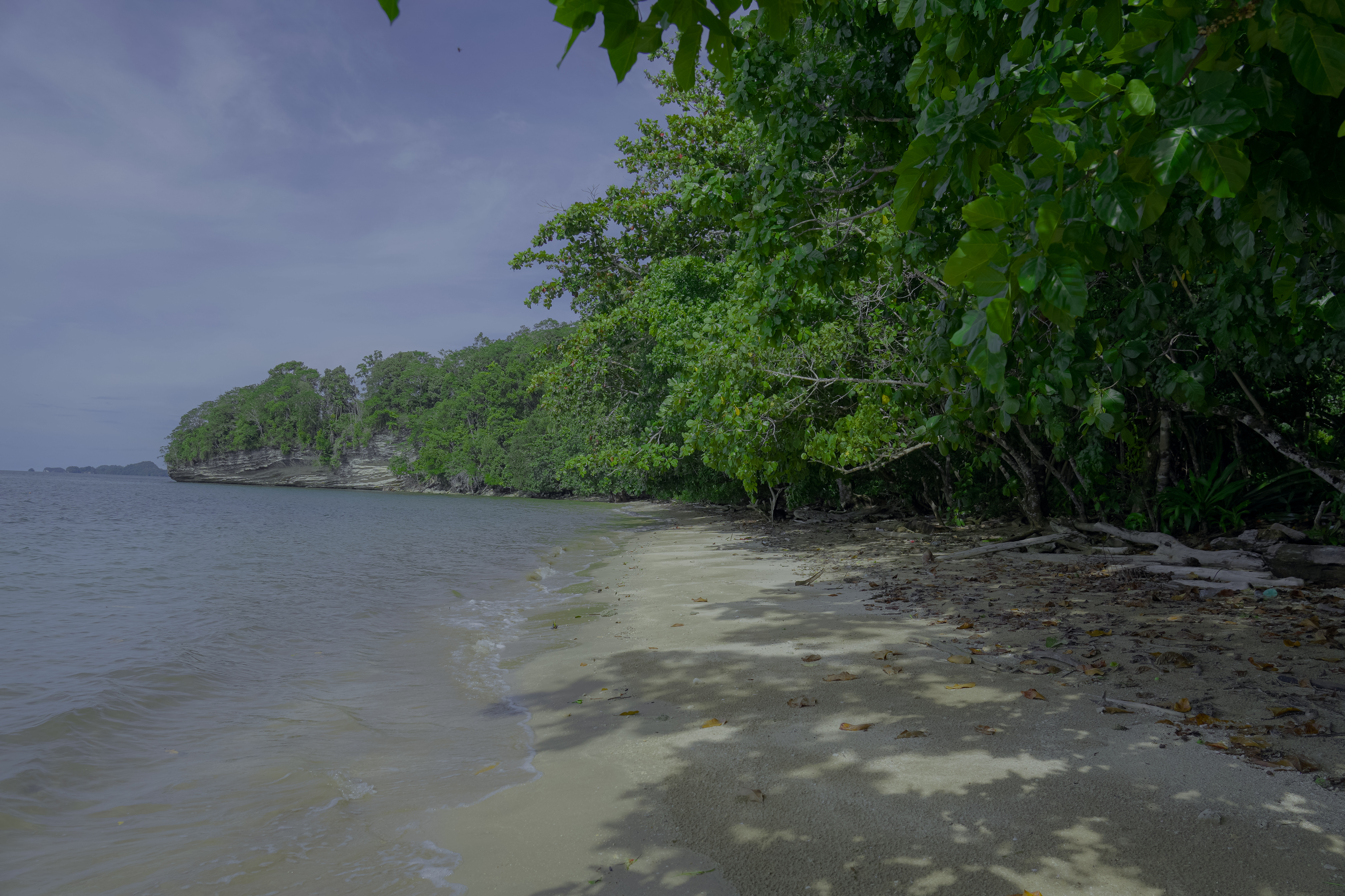 Pantai kuapar
